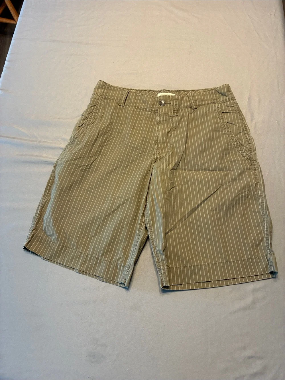 Banana Republic Olive Green Pinstripe Flat-Front Men's Shorts